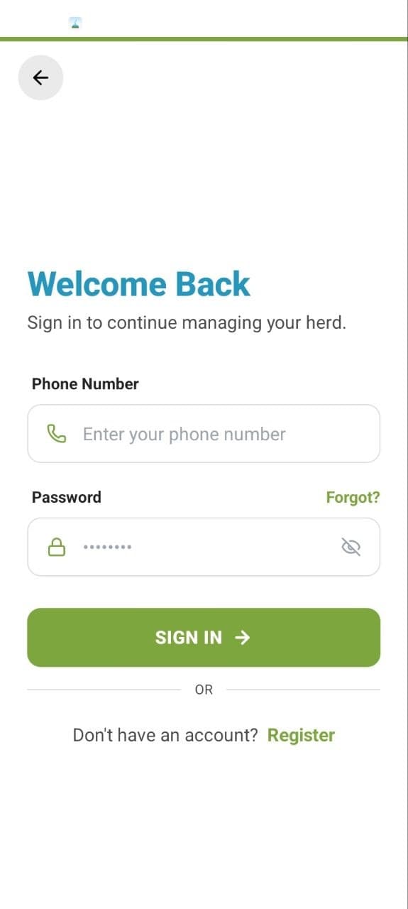 startup template